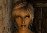 character make sample for high elf