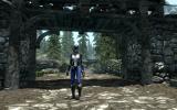 Flower Kunoichi (imperfect)