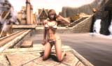 skyrim ss