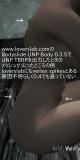 Bodyslide_UNP_TBBPでメッシュが尖ったところの例